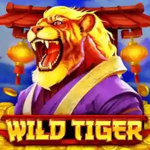 Enjoy Wild Tiger by BGAMING – logo hosted on dragoncasino.pl